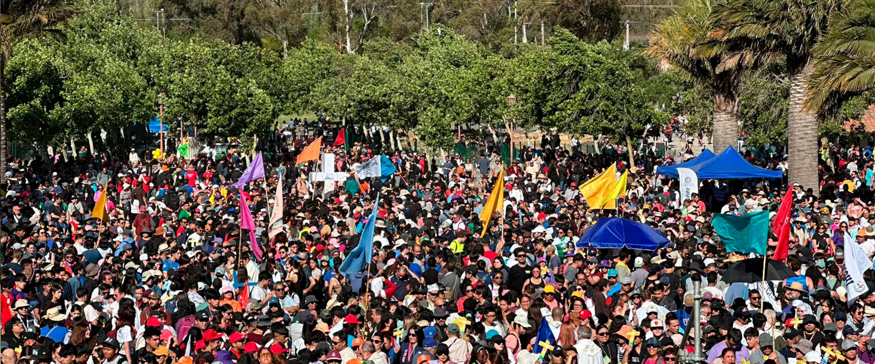 Miles de jóvenes peregrinos reunidos en la explanada del santuario al final de la caminata